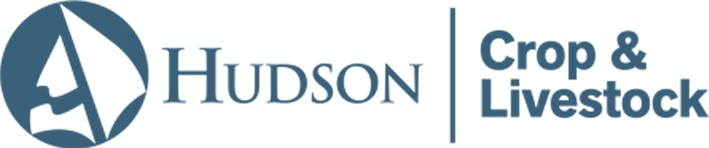 Hudson Insurance Group